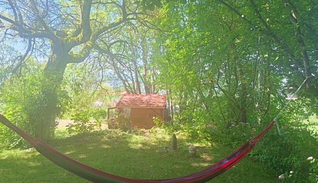 Cabane en forêt
