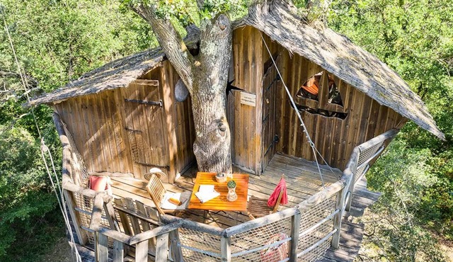 Cabane Forest Camp 1 Pièce 2 personnes Sans Sanitaires in Pierrefitte-sur-Sauldre