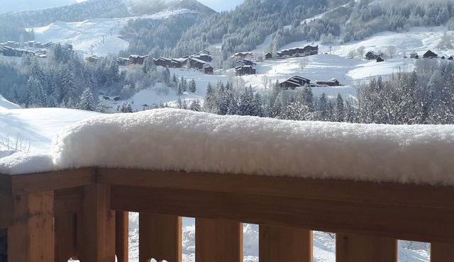 Chalet 8 people in the heart of the Alps