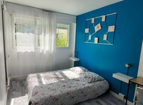 Chambre spacieuse - appart sympa chez l'habitant
