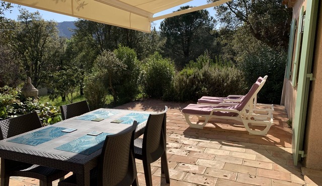 Charmant Appartement T2 à Louer au Coeur des Vignes