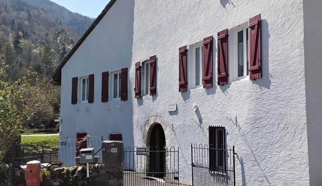 Charming apartment on the banks of the Gave Ossau, quiet corner(4 pers)