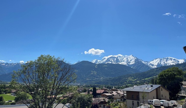 Charming apartment with a view of Mont Blanc. Perfect for 1 or 2 people.