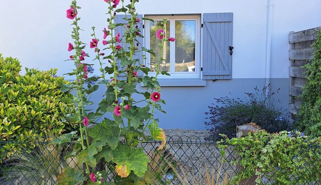 "Charming Gîte in Brière Park, 15km from La Baule Beach"