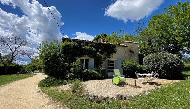 Charming gîte on a hill 10 minutes from Bordeaux; View, beauty, large swimming pool