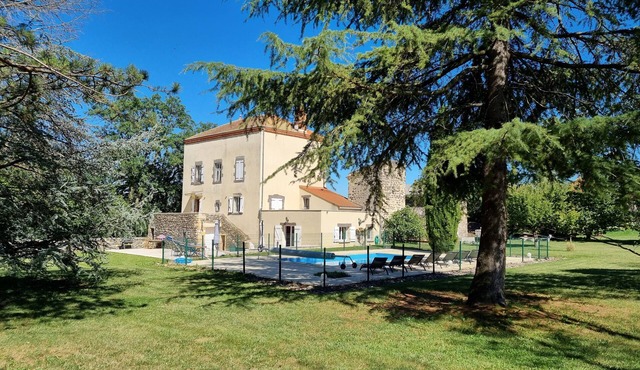 Comfortable ancient vineyard house - 12 people, pool, billiard - 63340 in Antoingt