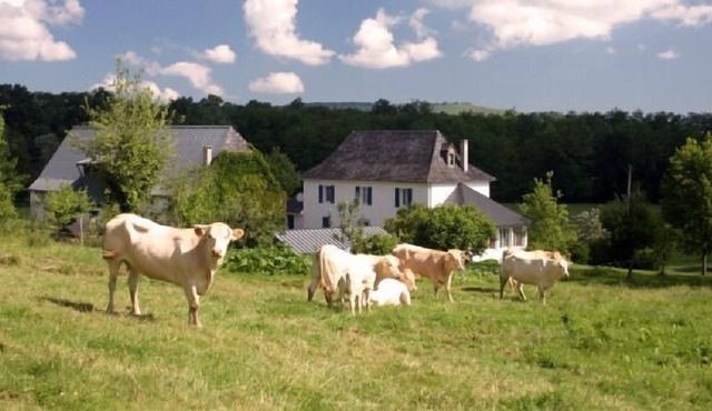 Cottage L'Ostau Barétous Pyrénées for 5 persons