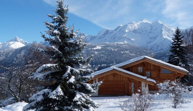F3 apartment in chalet facing Mont Blanc (pets not allowed)