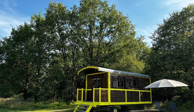 Buttercup trailer