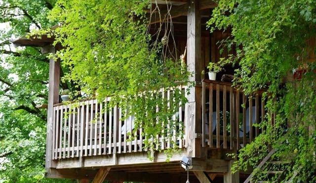 Charming treehouse near Eymet - Dordogne