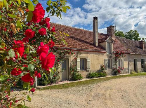 Gîte authentique Sologne - 6 pers. - FR-1-491-486