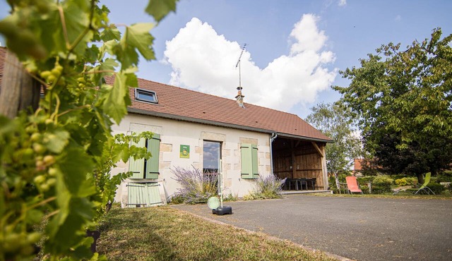 Gîte with pool amid the vineyards, Saint-Pourçain-sur-Sioule