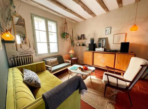 Gîte XIXè de charme à Candes-St-Martin avec jardin clos - FR-1-381-612