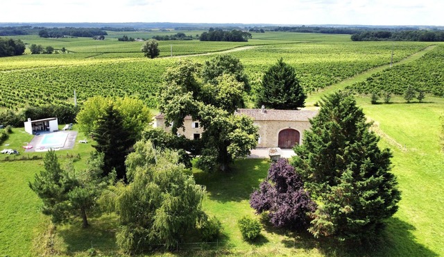 House, pool and vineyards near St Emilion
