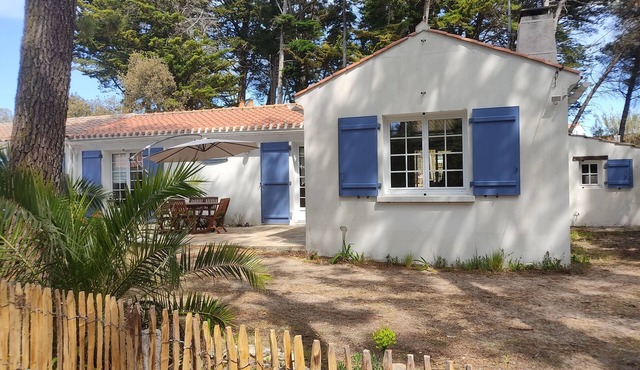 House under the pines, 300 m from the beach
