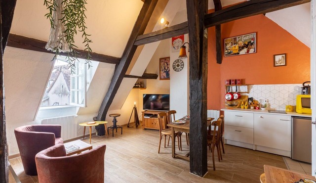 Le Grand St Aignan - Appt centre ville de Chartres