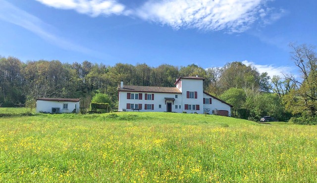 Lovely home in Oregue