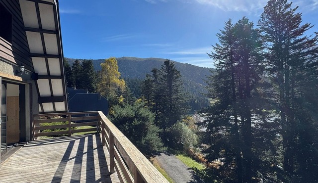 Mountain chalet on Lake Payolle-Sainte Marie de Campan-La Mongie