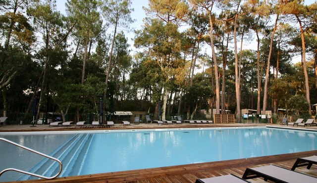 Nice apartment in villa for 4 people with WIFI, A/C, pool, TV, terrace and pets allowed