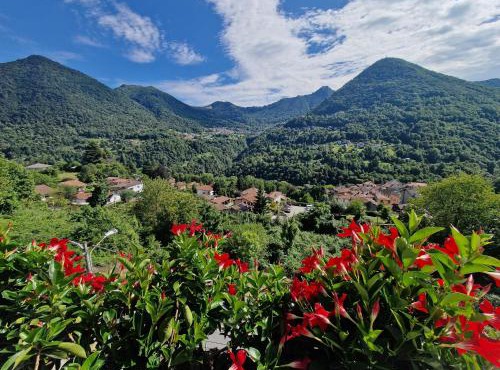 Panoramic View La Quiete in Dizzasco