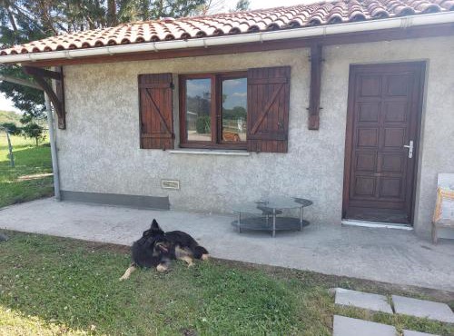 Petite maison au coeur des vignes et des chevaux
