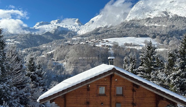 Small independent cocoon in a quiet location, mountain view, near Aravis, lake