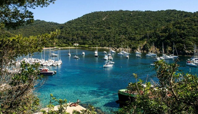 Sun-Kissed Sailing Adventure in Provence-Alpes-Côte d'Azur