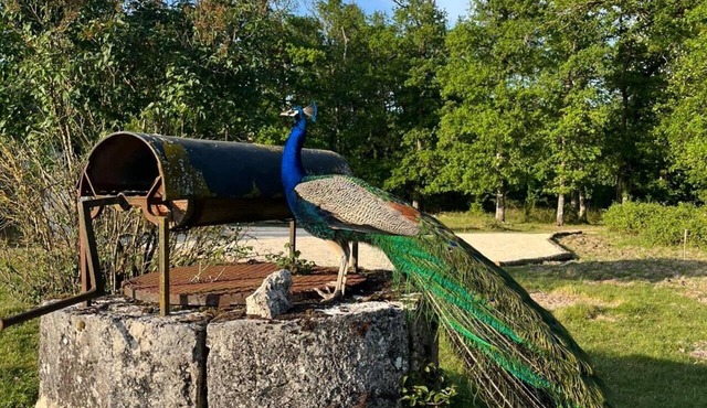 The Maison Carrée: A Wonderful Getaway in Sologne!