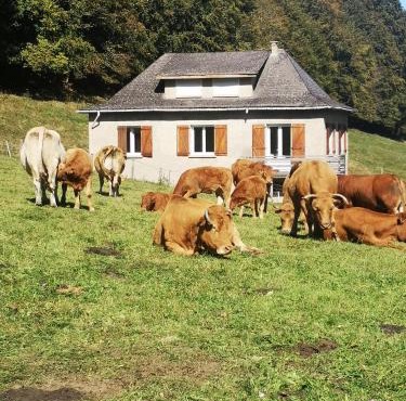 Tourmalet in Campan