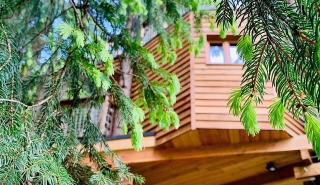 Valmo Insolite tree house