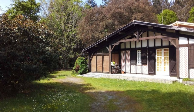 Villa, pets allowed - 12 guests
