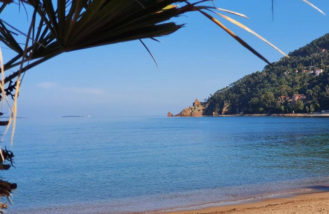 Holiday apartment Théoule sur Mer for 1 - 4 persons with 1 bedroom - Holiday apartment in one or mul