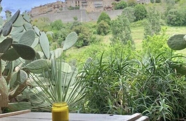 Vue Exceptionnelle sur St Paul de Vence