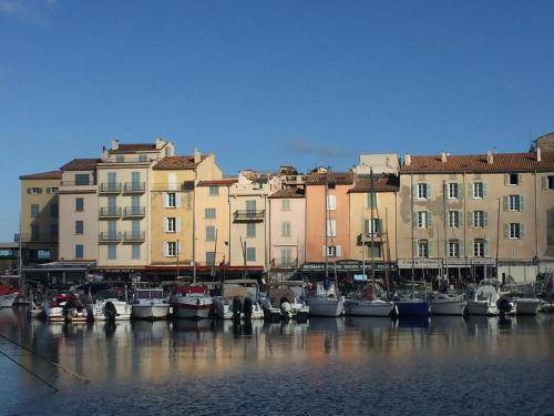 Old Town Apartment | 36 m² Apartment ∙ 1 bedroom ∙ 3 guests