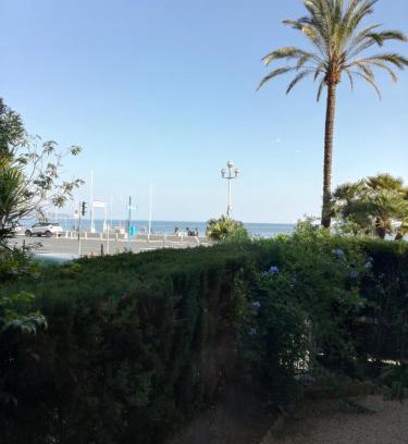 Les Baumettes Apartment | Nice Promenade Apartment