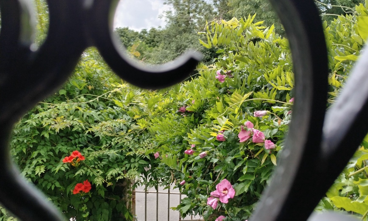 Bouille-Courdault House | Angelina