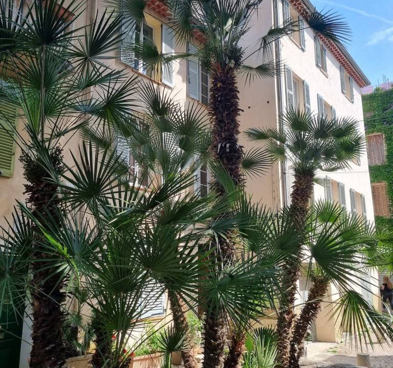 Photo of Others in Antibes City Centre