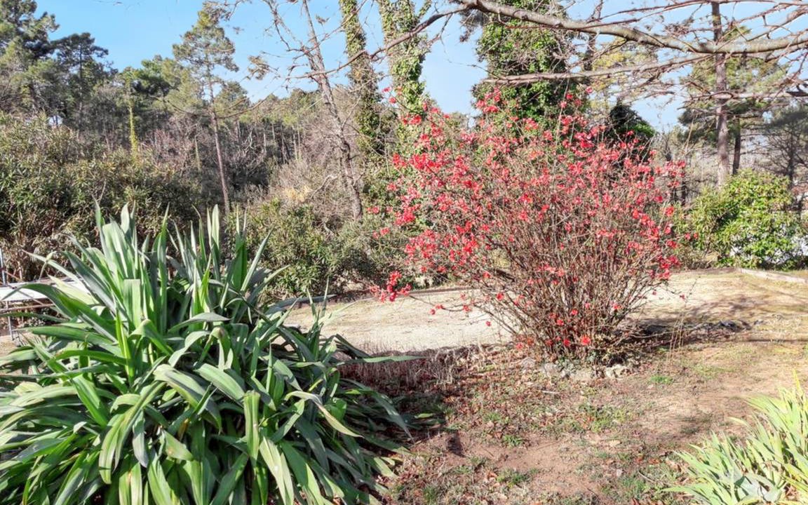 Photo of Others in Montauroux