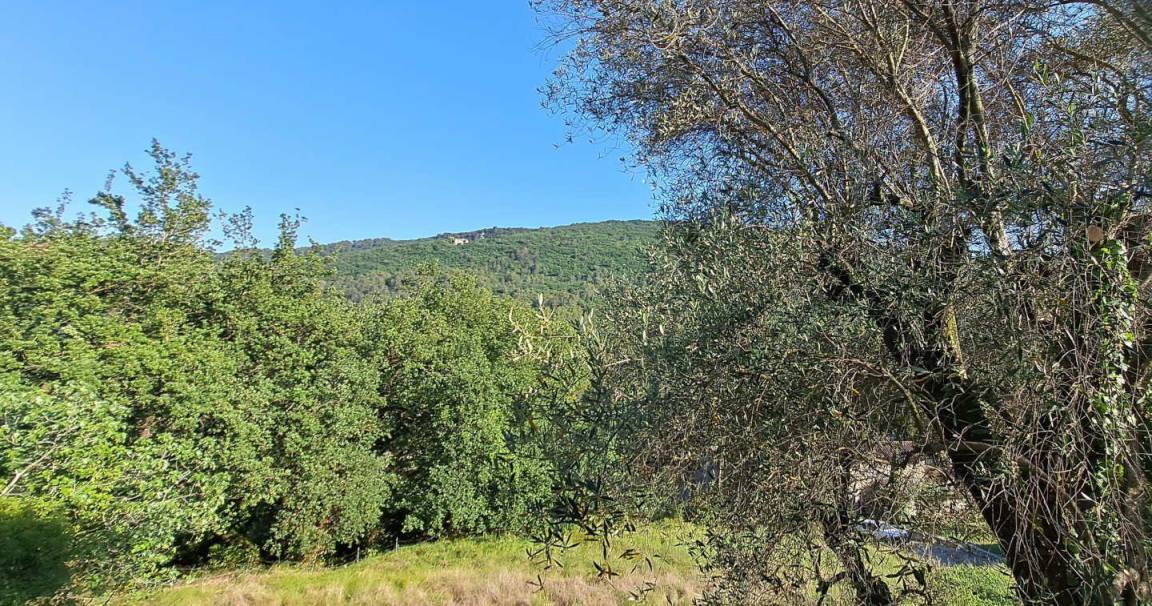 Photo of Outdoor in Le Bar-sur-Loup