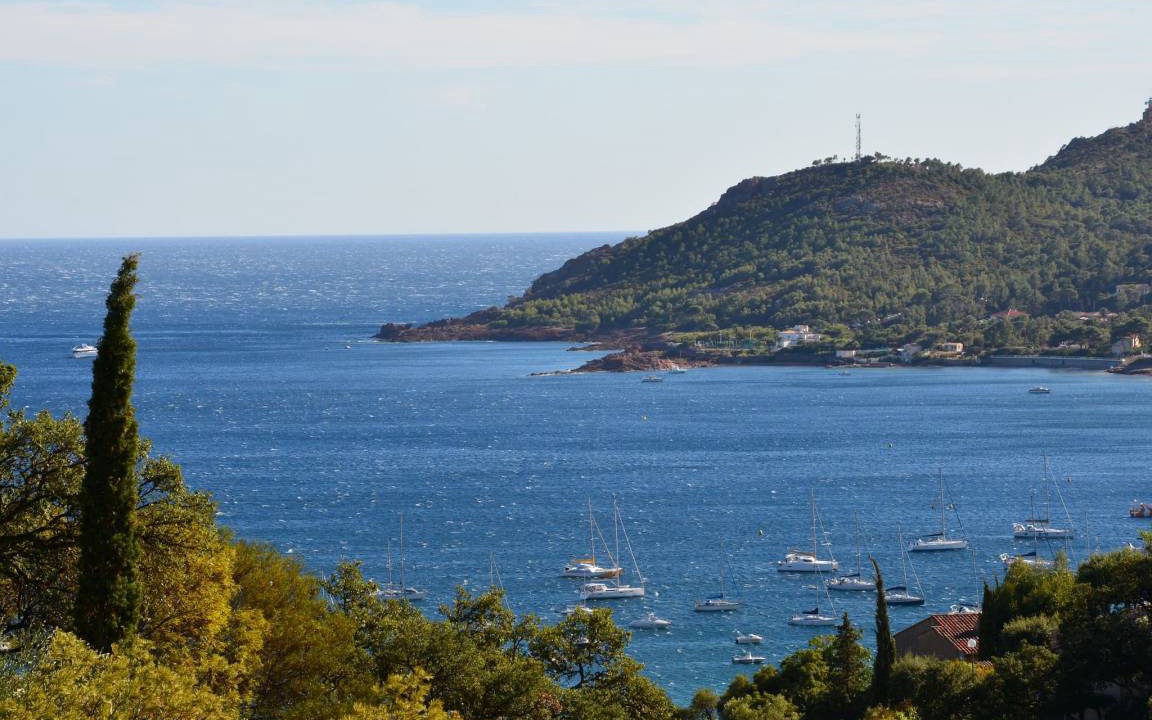 Photo of Others in Saint-Raphael