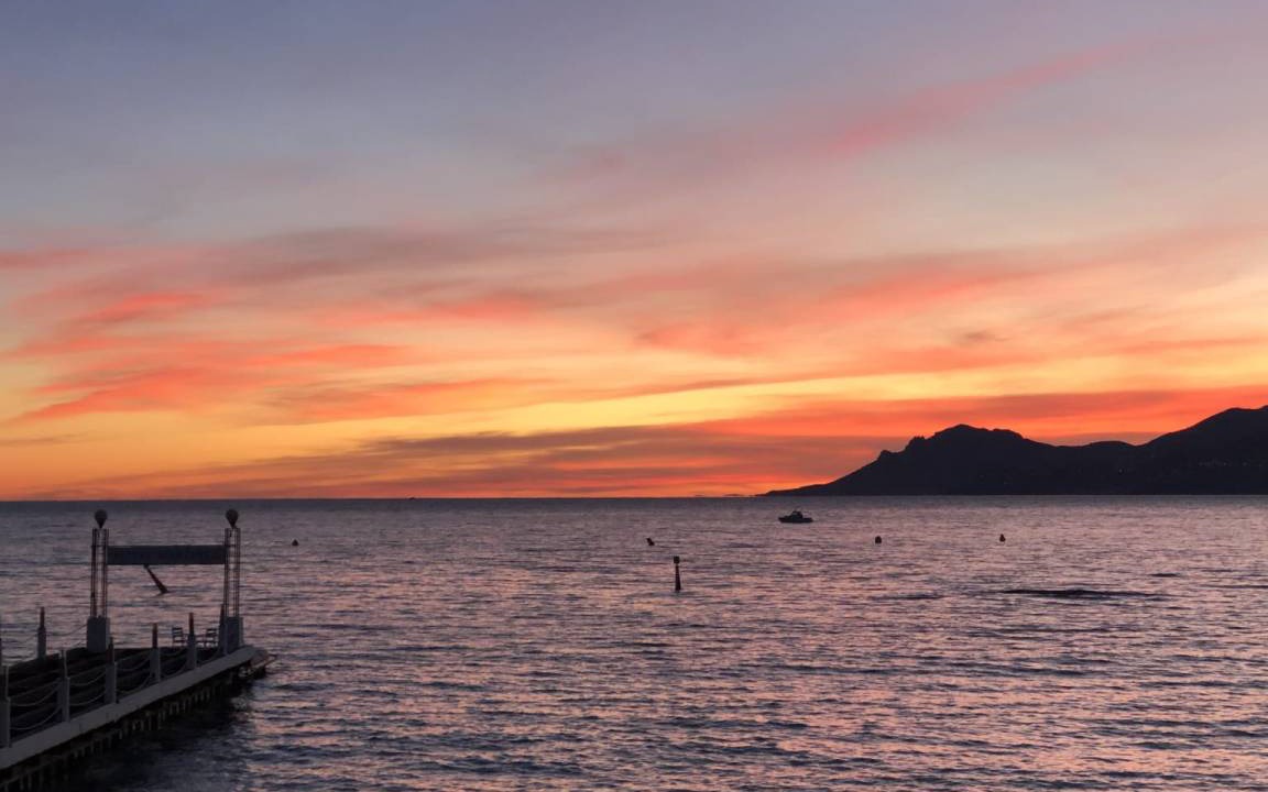 Photo of Others in Cannes