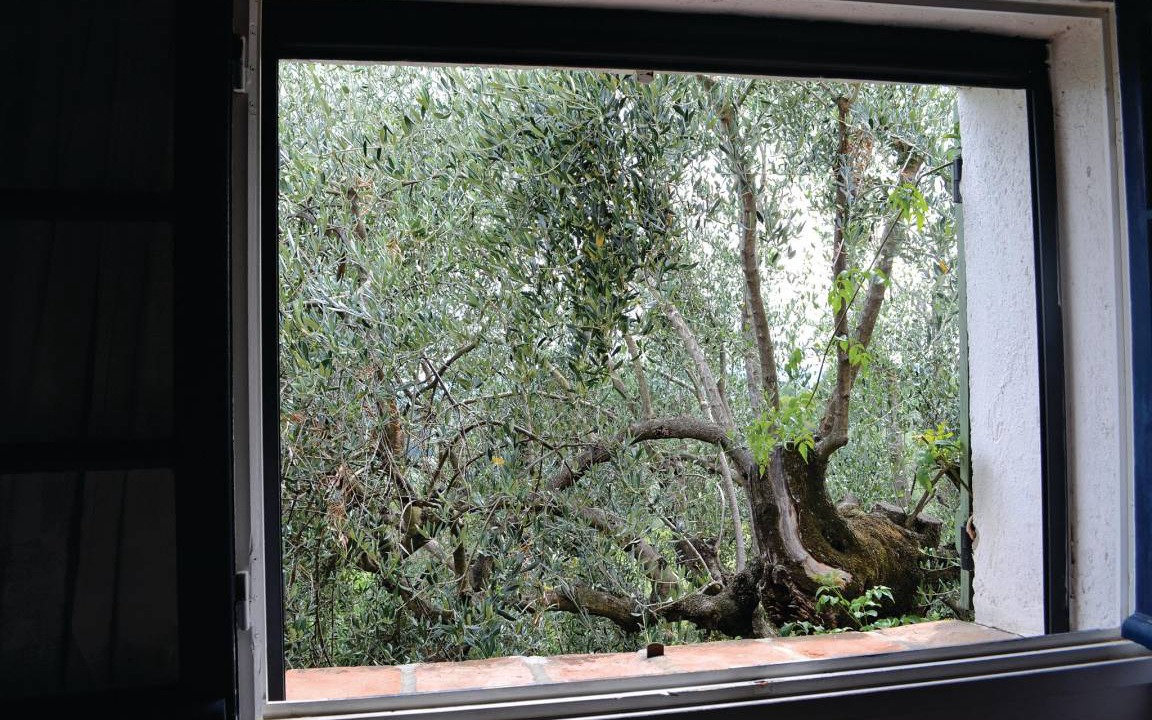 Photo of Others in Chateauneuf-Grasse