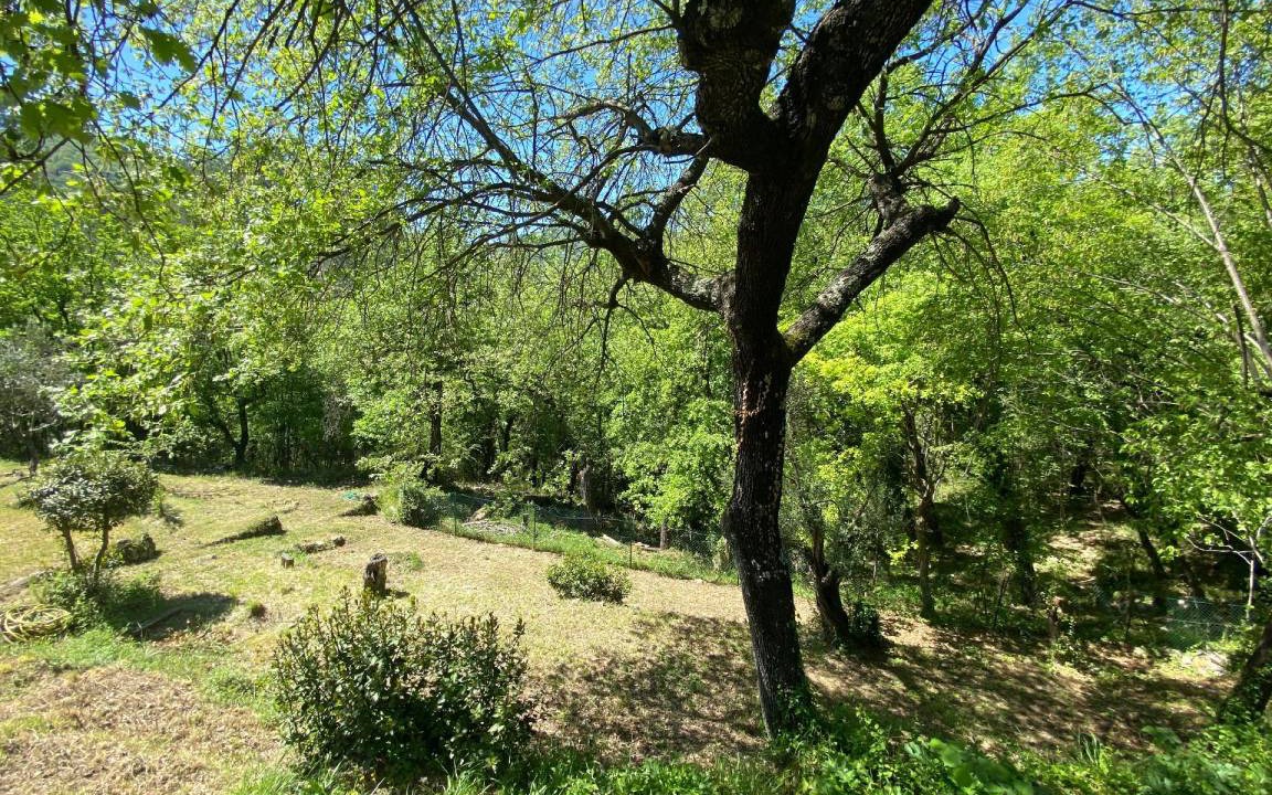 Photo of Others in Tourrettes-sur-Loup