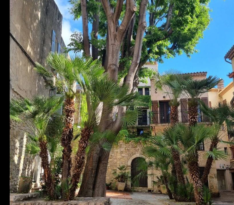 Photo of Others in Antibes City Centre
