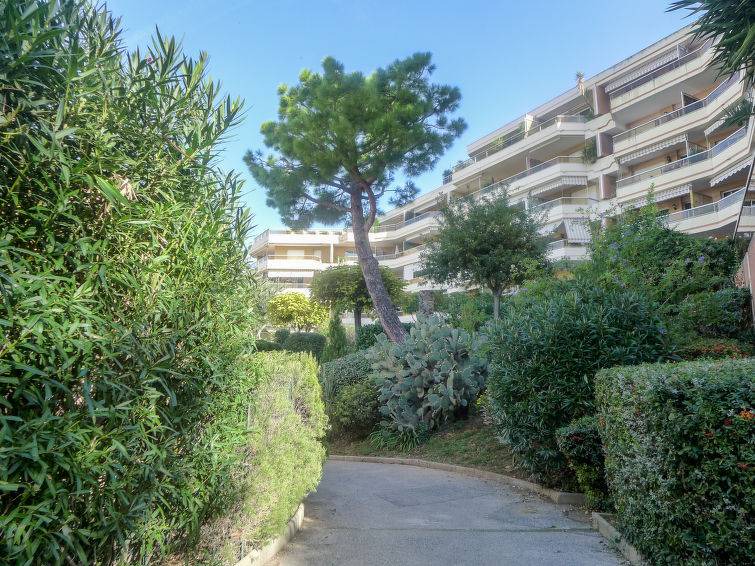 Photo of Others in Nice