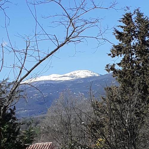 Photo of Others in Saint-Cezaire-sur-Siagne