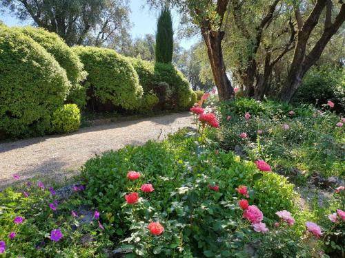 Photo of Others in Chateauneuf-Grasse