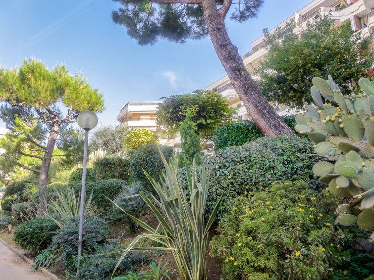 Photo of Others in Nice