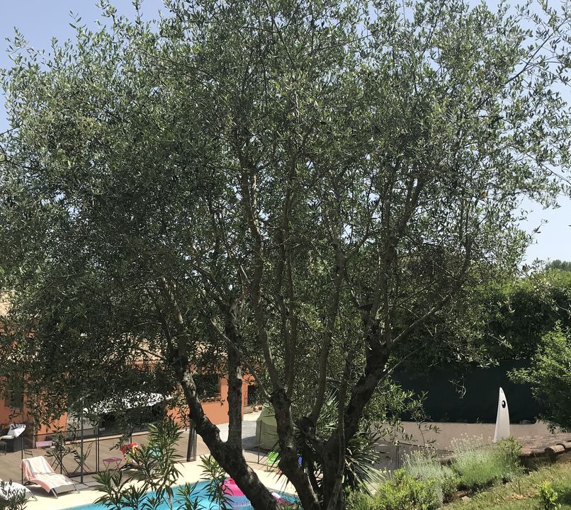 Photo of Others in Roquefort-les-Pins
