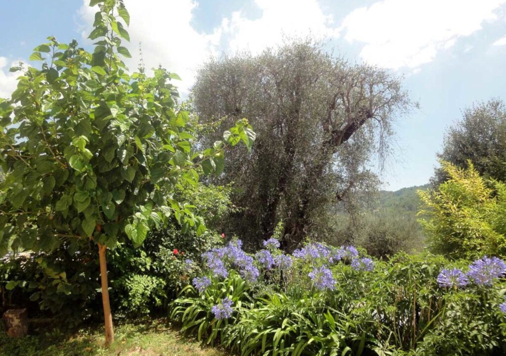 Photo of Outdoor in Le Bar-sur-Loup
